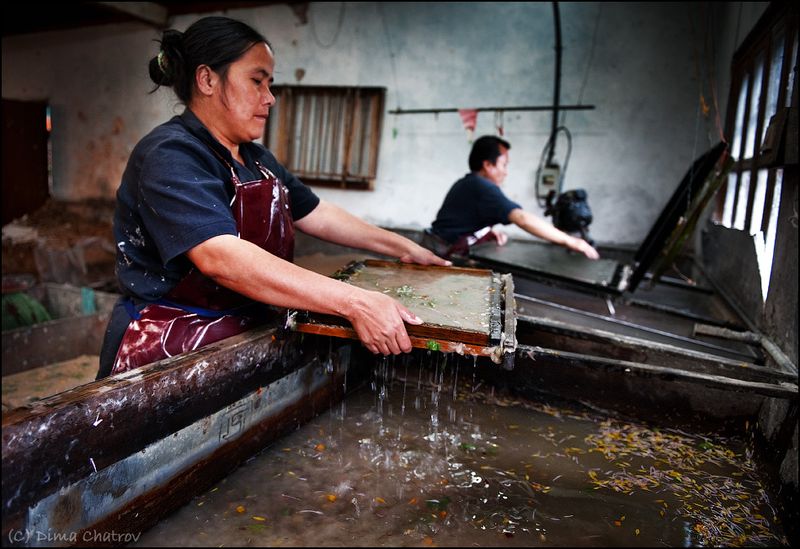 А мы отправляемся дальше. Расщепленные волокна загружаются в чан, наполненный водой и лепестками. В руках у работницы натянутая на каркас тонкая циновка, которой зачерпывают тростниково-цветочную кашу. Бутанские женщины постарались на славу: если опустить в воду руку, ухватить массу практически невозможно. На ощупь это мягкие, тонкие водоросли. Лепестки добавляют больше из соображений эстетики: вкрапления в бумаге фрагментов полевых цветов - это красиво.